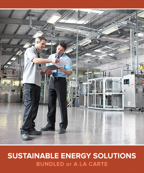 Sustainable Energy Solutions - Bundled or a la Carte